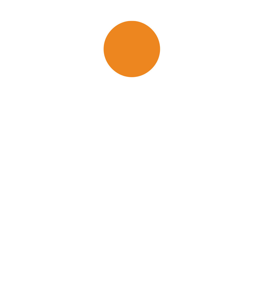 OneIAM logo
